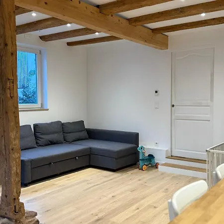 Le Nid Alsacien - 80 M2 Avec Terrasse Et Jardin Estrasburgo